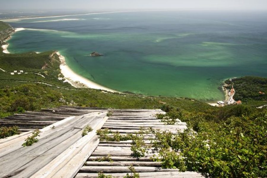 Tour of Arrábida and beautiful landscapes and wine tasting